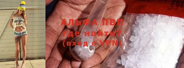 ГАЛЛЮЦИНОГЕННЫЕ ГРИБЫ Абаза