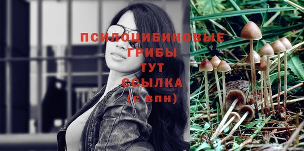 ГАЛЛЮЦИНОГЕННЫЕ ГРИБЫ Абаза