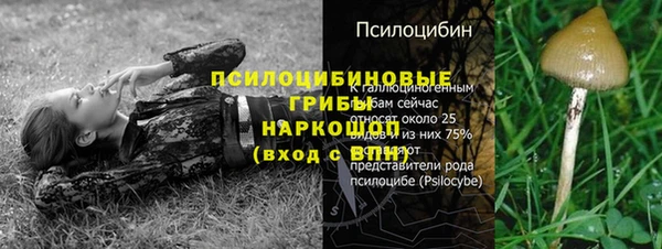 тгк Абдулино