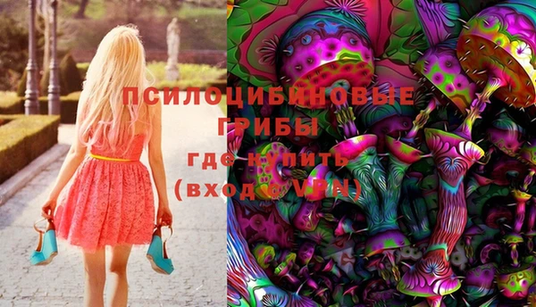 a pvp Алексин