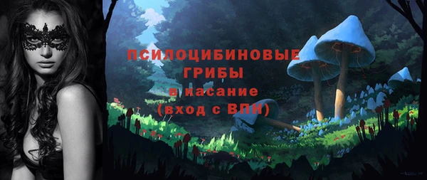 a pvp Алексин