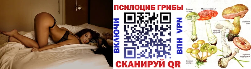 Псилоцибиновые грибы Magic Shrooms  хочу наркоту  Клинцы 